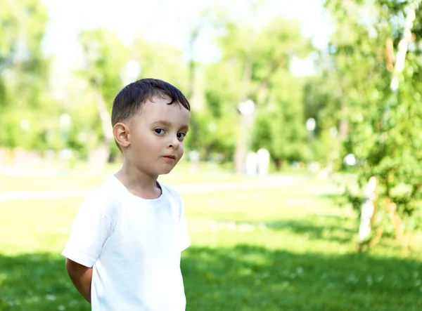 Портрет маленького мальчика в парке — стоковое фото