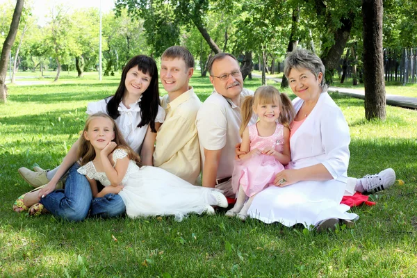 Utvidgade familjen tillsammans i parken — Stockfoto