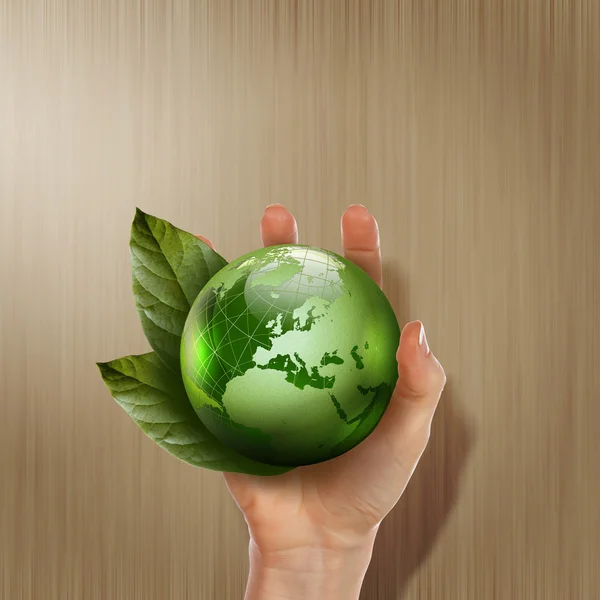 Groen aarde met groeiende plant — Stockfoto