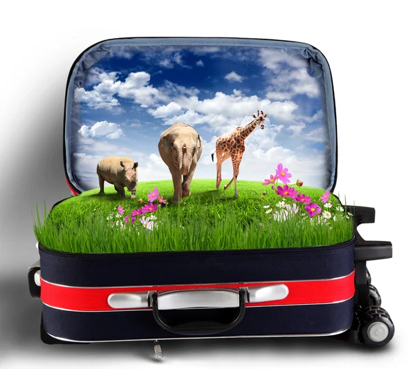 与绿色自然里面的红色行李箱 — 图库照片