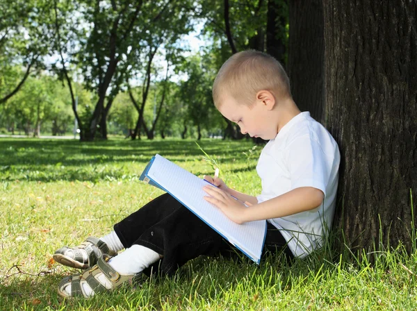 Parkta bir kitap ile bir çocuk portresi — Stok fotoğraf