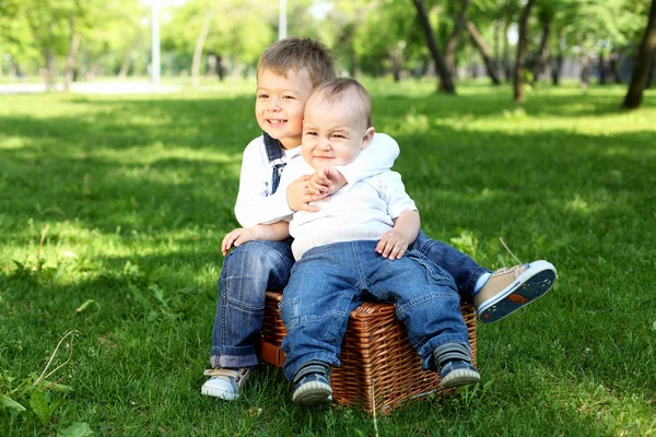 Two little brothers together in the park — Stock Photo, Image