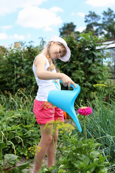 女孩浇灌植物 — 图库照片