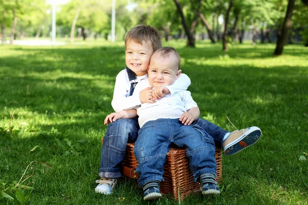 Двоє маленьких братів разом у парку — стокове фото