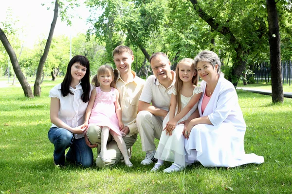 Εκτεταμένη οικογένεια μαζί στο πάρκο — Φωτογραφία Αρχείου