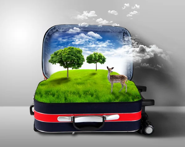 Red suitcase with green nature inside — Stock Photo, Image