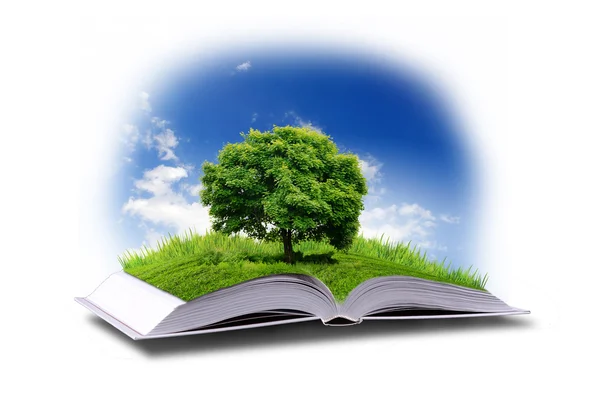 Otwórz książkę z natura zielony świat — Zdjęcie stockowe