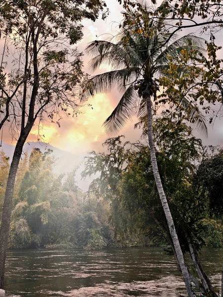 Puesta de sol en la selva tropical — Foto de Stock