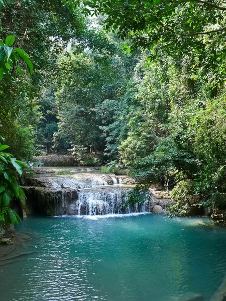 stock image Falls in the Forest