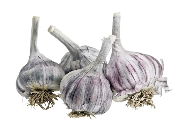 stock image Fresh garlic