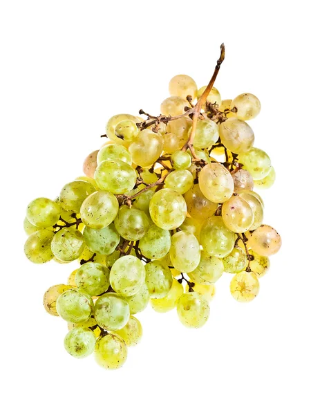 Bunch of ripe grapes Stock Photo