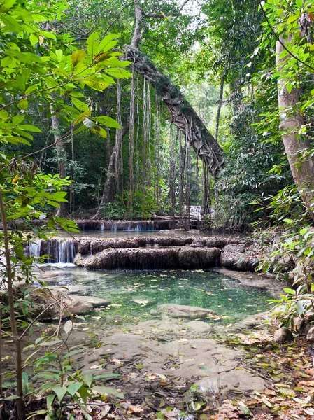 Vízesés a dzsungelben — Stock Fotó