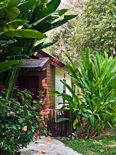 stock image Home in the tropical bush