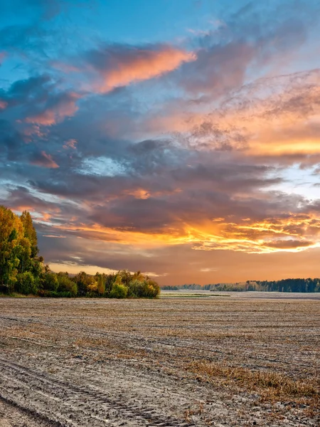 Rurale landschap. zonsondergang boven het veld. — Stockfoto