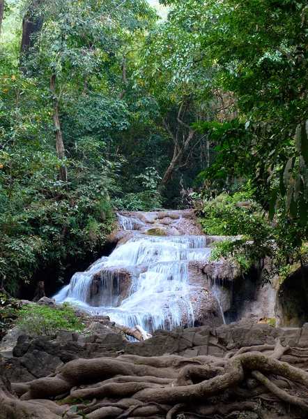 Waterfall in the jungle — Stock Photo, Image