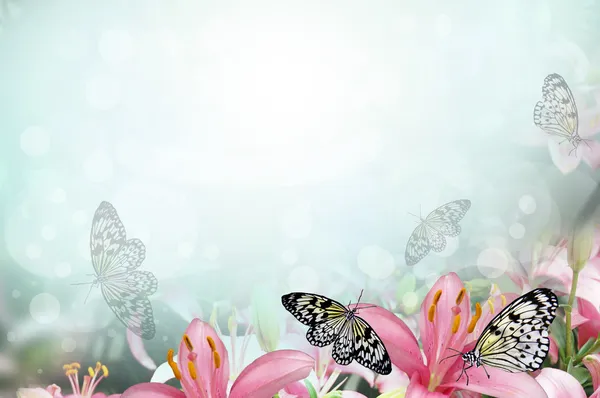 Fresh spring background with flowers and butterflies — Stock Photo, Image