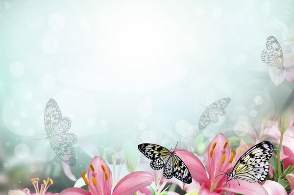 Fresh spring background with flowers and butterflies