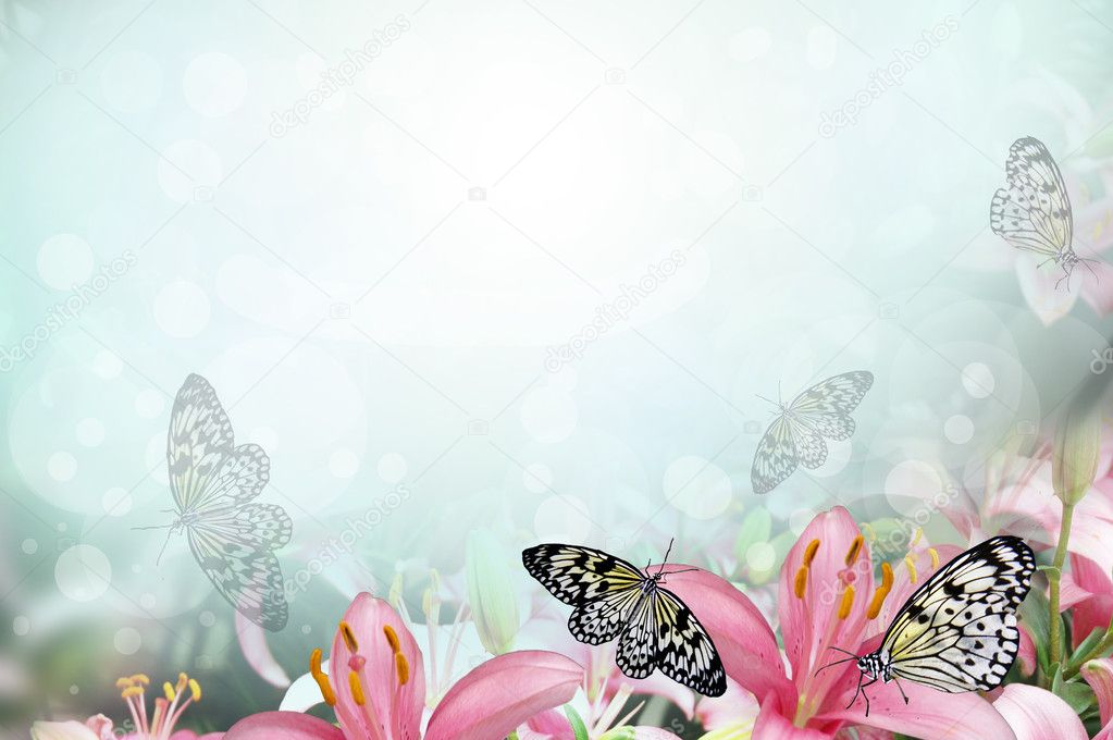 Fresh spring background with flowers and butterflies