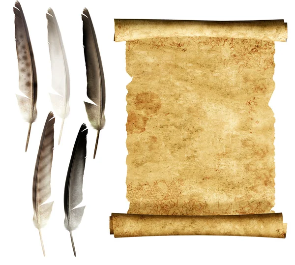 Stock image Parchment