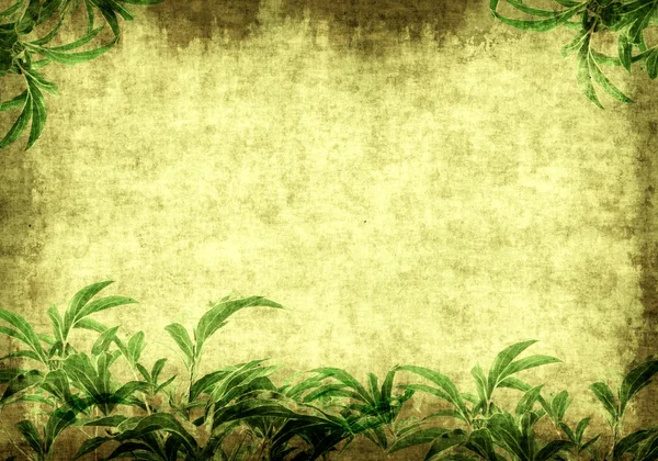 Grunge-Hintergrund mit grünen Blättern — Stockfoto