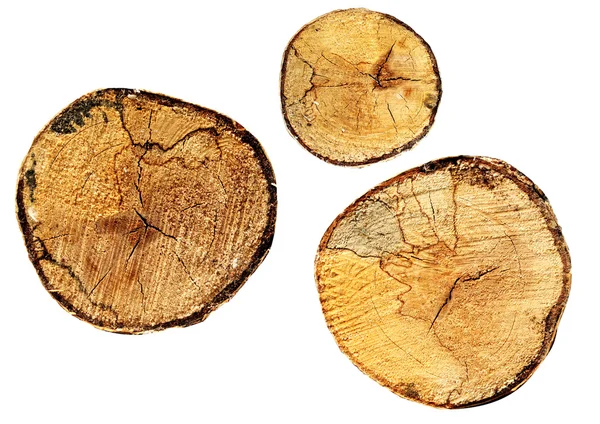 Cut of a log — Stock Photo, Image