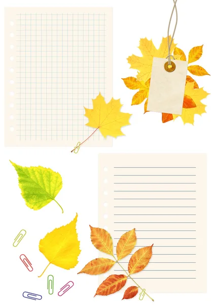 Páginas de caderno, labes e folhas de outono — Fotografia de Stock