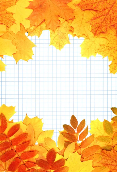 Notebook pages and autumn leaves — Stock Photo, Image
