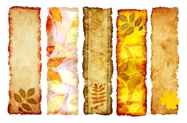 秋季横幅的集合 — 图库照片
