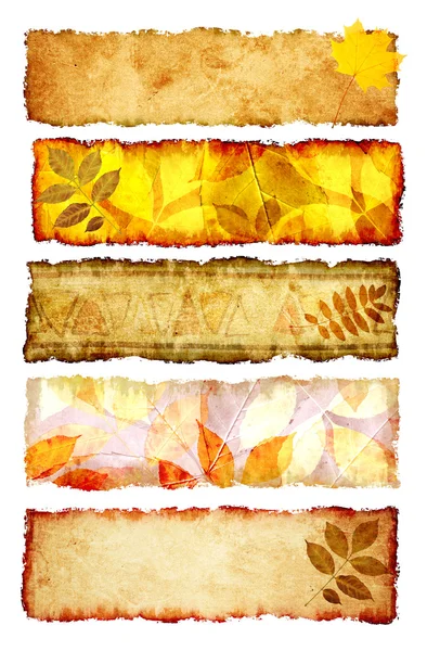 Collectie van herfst banners — Stockfoto