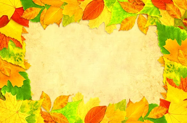Jesieni w tle — Zdjęcie stockowe