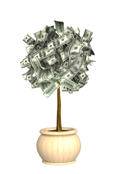 Δέντρο χρημάτων — Φωτογραφία Αρχείου
