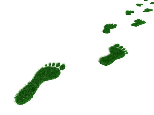 Gras voetafdruk — Stockfoto