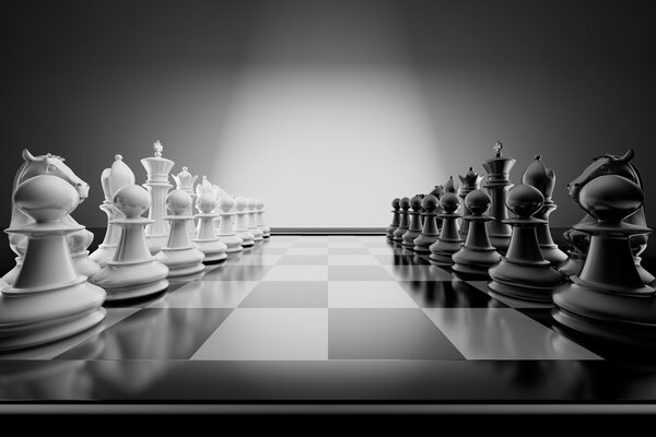 Композиция шахмат
