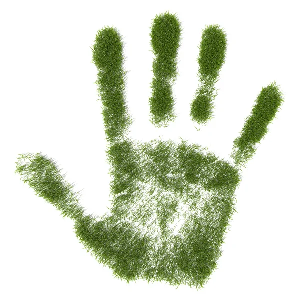 Травяной отпечаток — стоковое фото