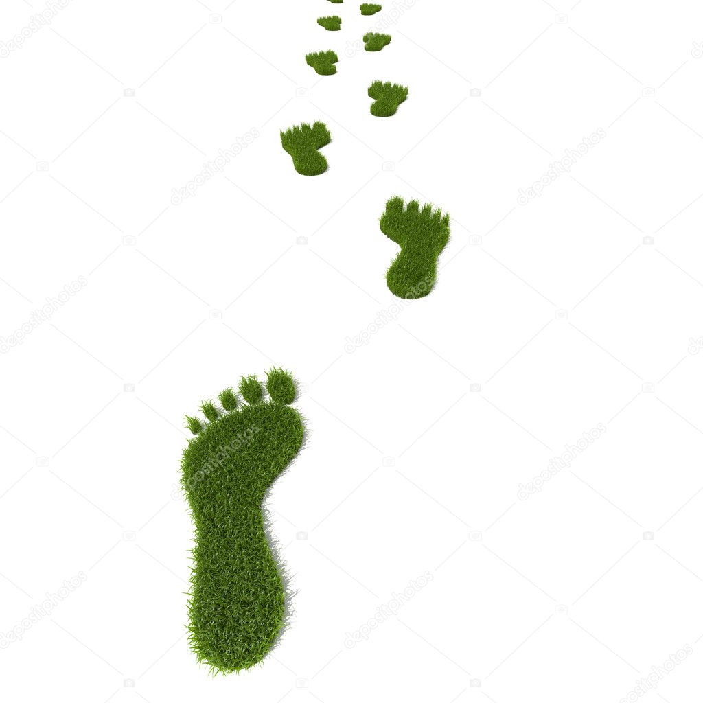 Grass footprint