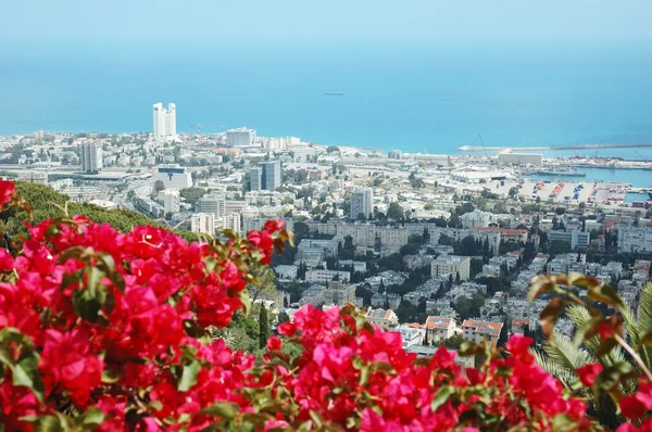 Панорама современного города Хайфа, Израиль — стоковое фото