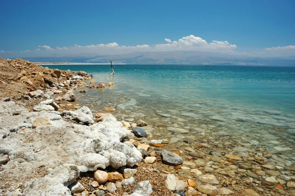 stock image Dead Sea coast, Israel