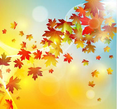 Autumn leaves background clipart