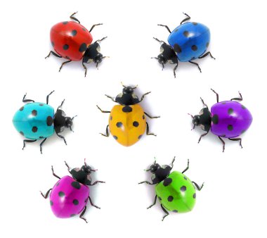 Ladybugs flower clipart