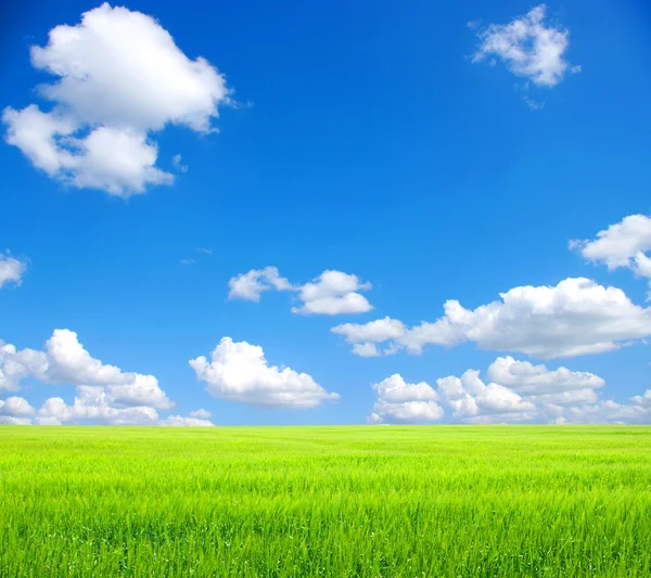Campo e nuvens brancas — Fotografia de Stock