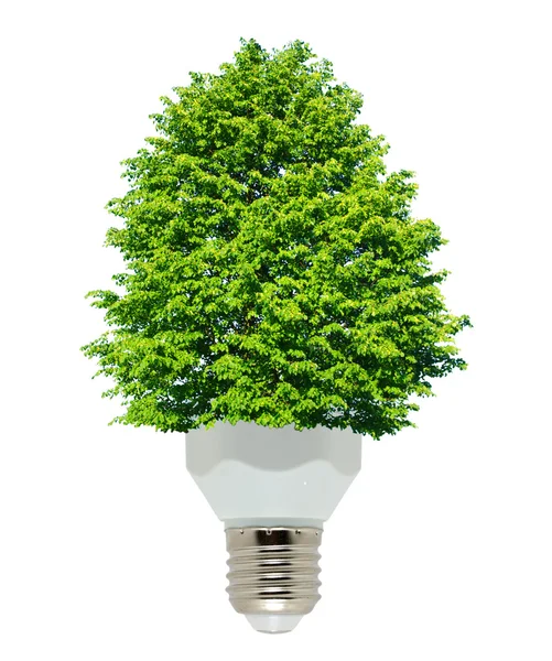 绿色能源 — 图库照片