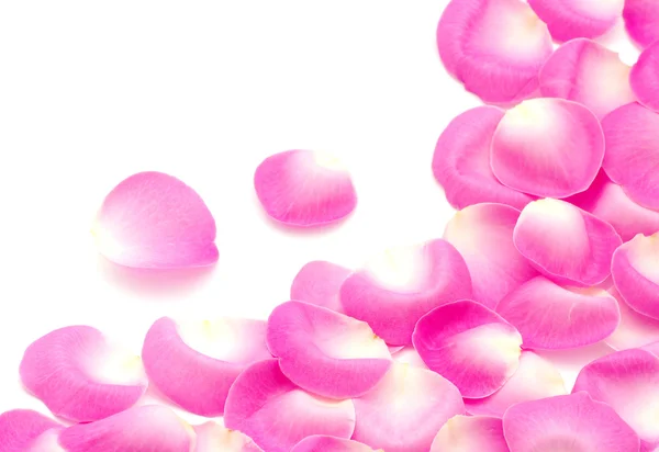 Roze rozenblaadjes — Stockfoto