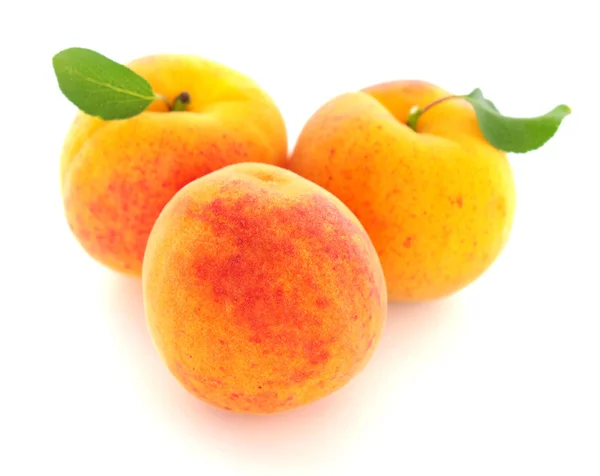 Спелые абрикосы — стоковое фото