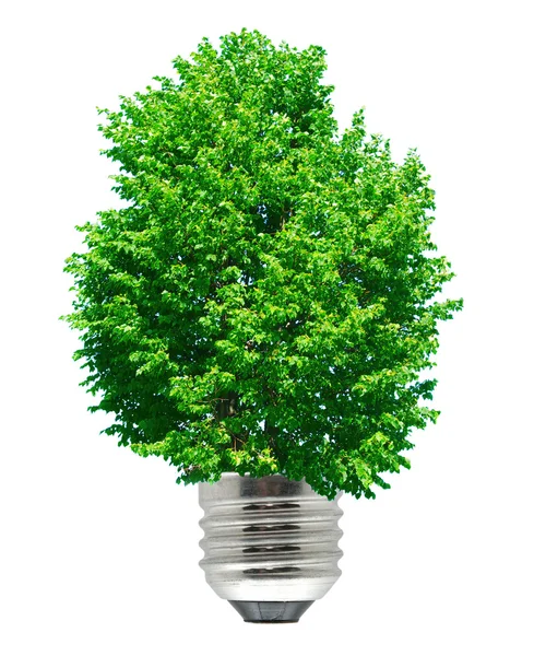 Energia verde — Foto Stock