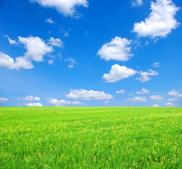 Feld und Wolken — Stockfoto