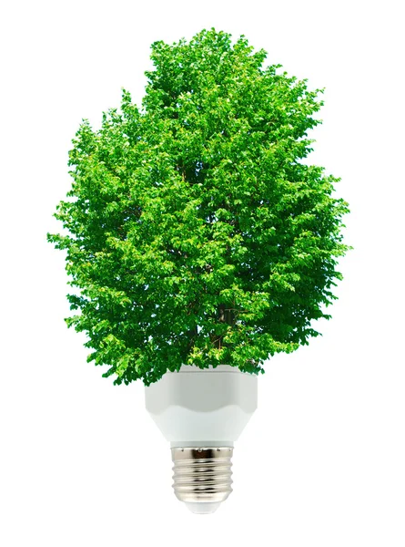Yeşil enerji — Stok fotoğraf