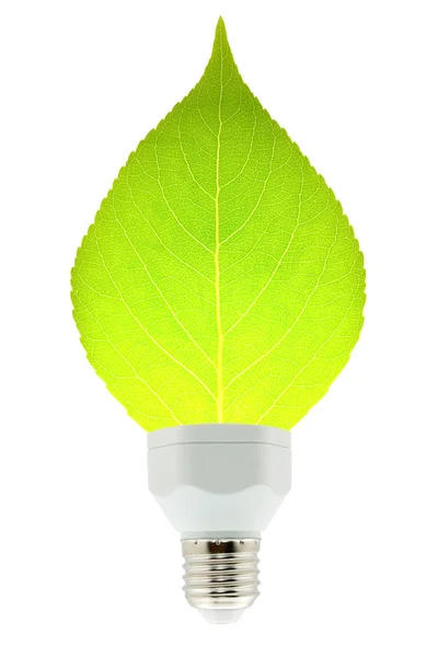 잎 및 램프 — 스톡 사진