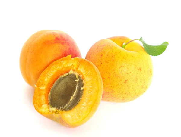 成熟的杏子 — 图库照片
