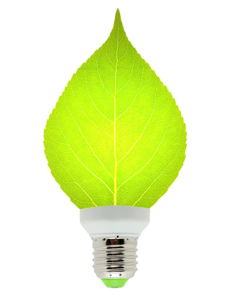 Leaf and lamp — Stock Photo, Image