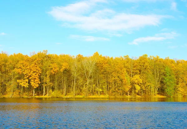 Stock image Autumn landscape